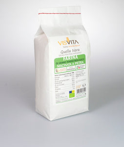 100% Italian Organic Whole Wheat Flour
